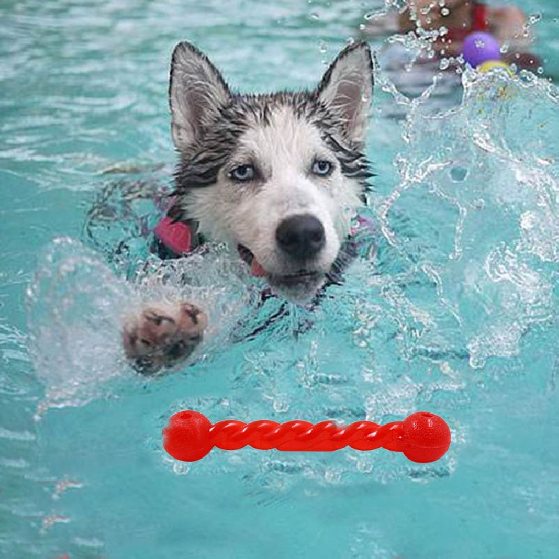 Durable squeaky dog chew toy for grinding teeth, floats on water