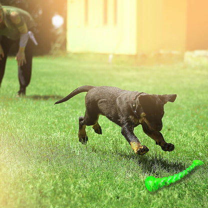 Durable squeaky dog chew toy for grinding teeth, floats on water