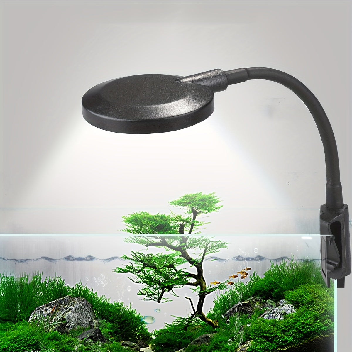 1pc USB-Powered LED Aquarium Clip Light with adjustable black hose for easy installation, perfect for illuminating fish tanks.