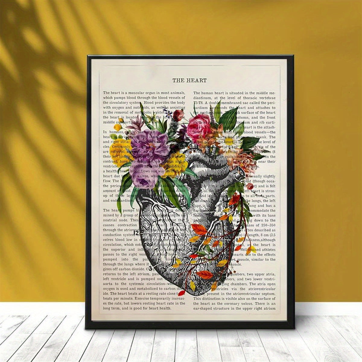 Heart anatomy canvas poster print for cardiologist gift or medical decor, ideal for wall art in home or medical school. Unframed.