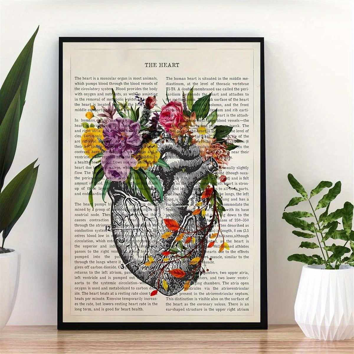 Heart anatomy canvas poster print for cardiologist gift or medical decor, ideal for wall art in home or medical school. Unframed.