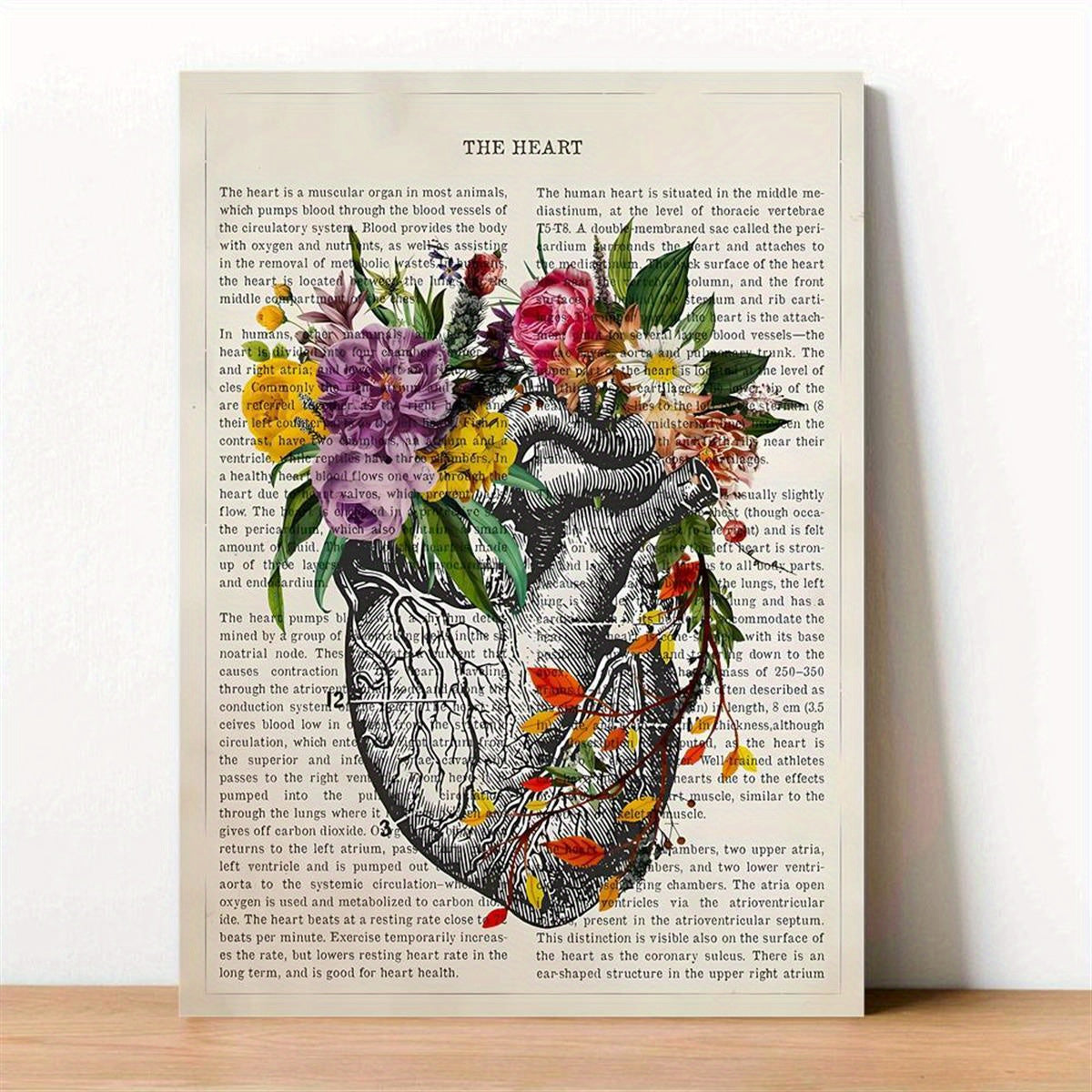 Heart anatomy canvas poster print for cardiologist gift or medical decor, ideal for wall art in home or medical school. Unframed.