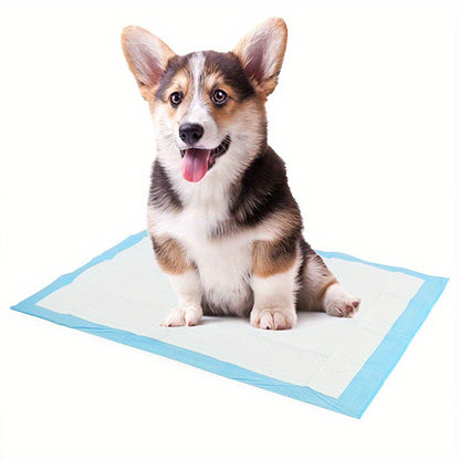 Disposable pet diapers with high absorbency, suitable for dog potty training and pet cage pads. Available in packs of 100, 50, 40, or 20 pieces.