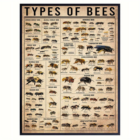 Canvas poster featuring types of bees and insects, with bee illustrations and knowledge. Wall art for living room or bedroom, frameless.