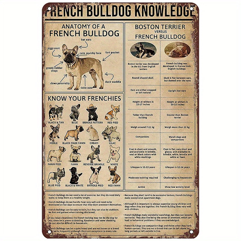 Retro French Bulldog Tin Sign for Home Decor Wall, featuring knowledge about the breed