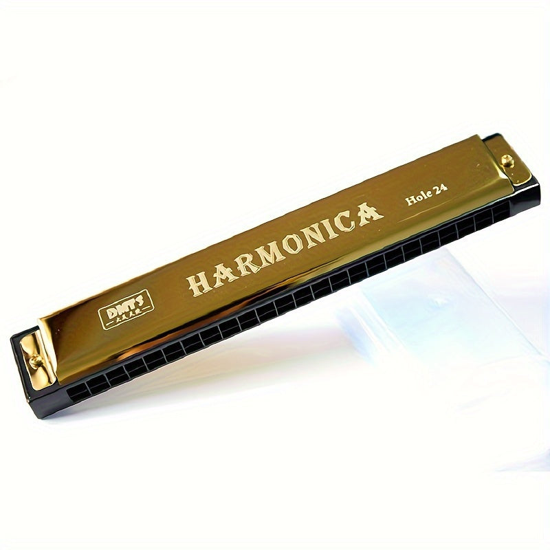 Beginner's 10-hole professional blues harmonica.