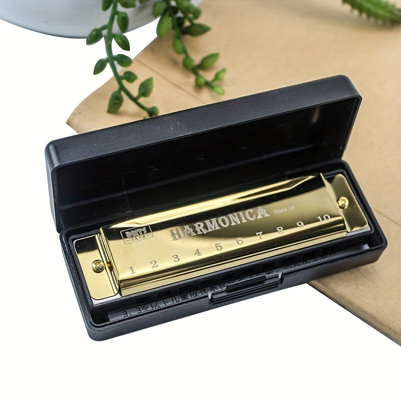 Beginner's 10-hole professional blues harmonica.