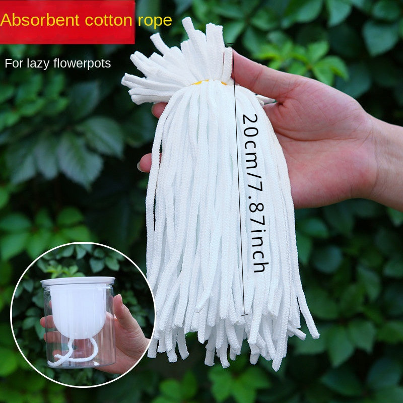 A pack of 100 absorbent cords for flower pots and plant ropes.