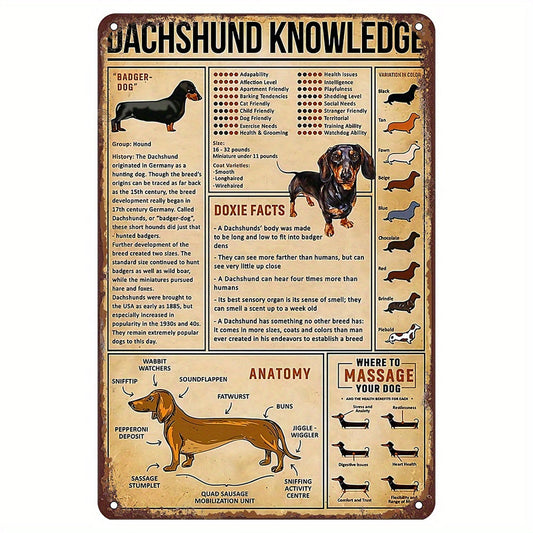 Funny wall art interior decoration for pet store, home bar, cafe, restaurant, shop, garage, home kitchen, gym, boxing club, or fitness club featuring a metal tin sign filled with Dachshund knowledge - the perfect gift for dog lovers.