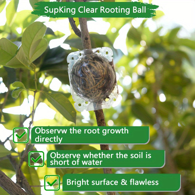 10 Plant High-pressure Propagation Boxes