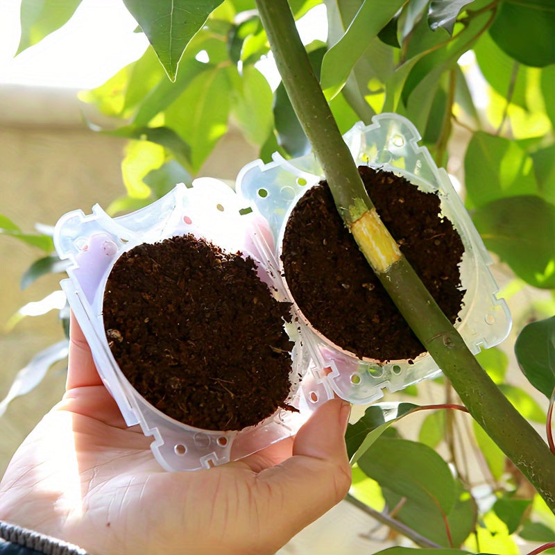 5-Pack Plant Root Growing Box for Efficient Cloning of Trees, No Electricity Needed