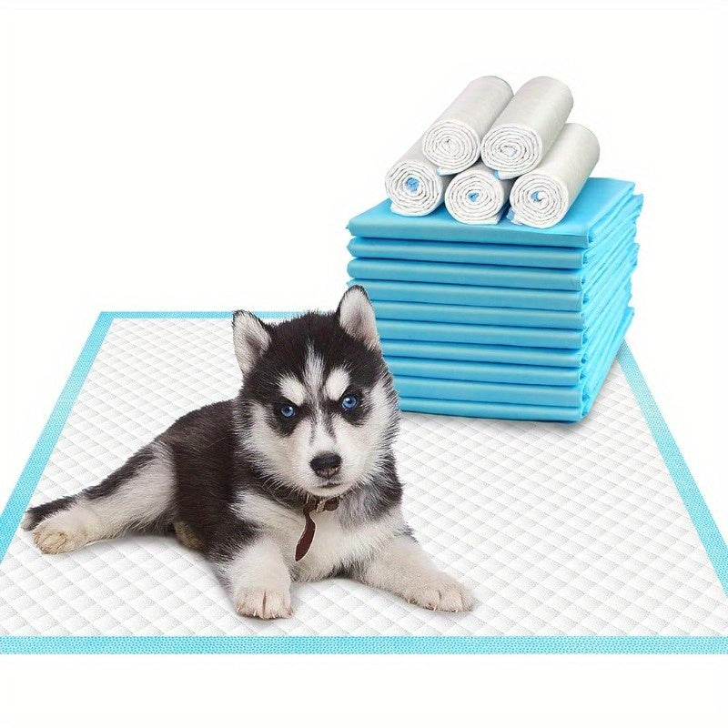 Disposable Dog Urine Pads in packs of 20, 40, 50, or 100. Highly absorbent with leak-proof design and odor removal feature. Ideal for potty training and pet cleaning.