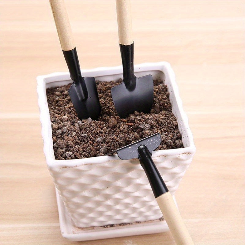 Set of three gardening tools: flower rake for loading vegetable seeds, small shovel for succulents, and potted supplies.