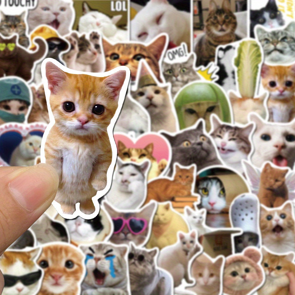 50 Funny Cat Vinyl Stickers for various items.