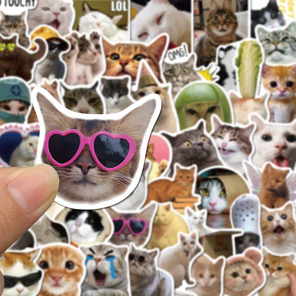 50 Funny Cat Vinyl Stickers for various items.