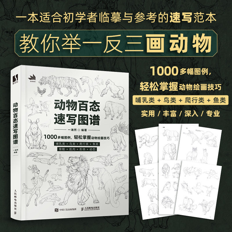 Drawing Guide for Teens and Young Adults: Animal Sketches - Chinese Edition