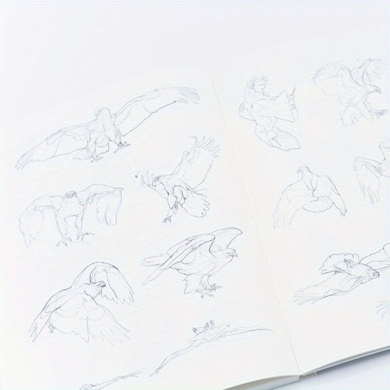 Drawing Guide for Teens and Young Adults: Animal Sketches - Chinese Edition