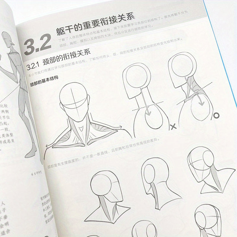 Tutorial on the basics of human anatomy in game anime, debunking detailed depth, Chinese edition.