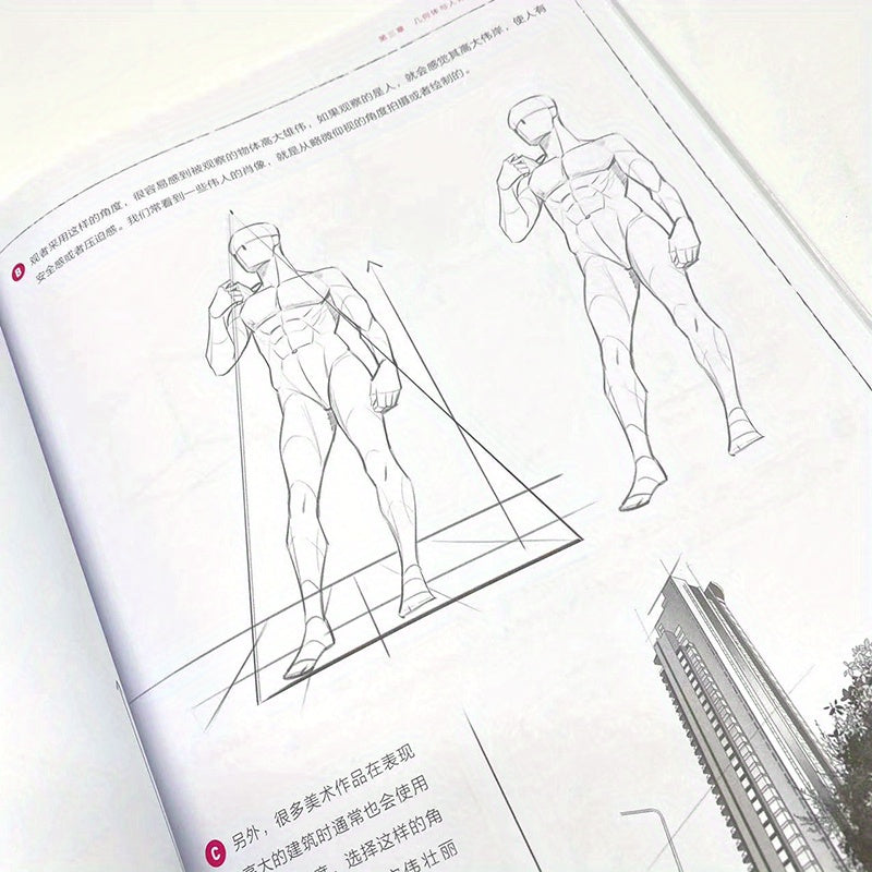 Understanding Chinese Perspective on Human Body Structure Principles