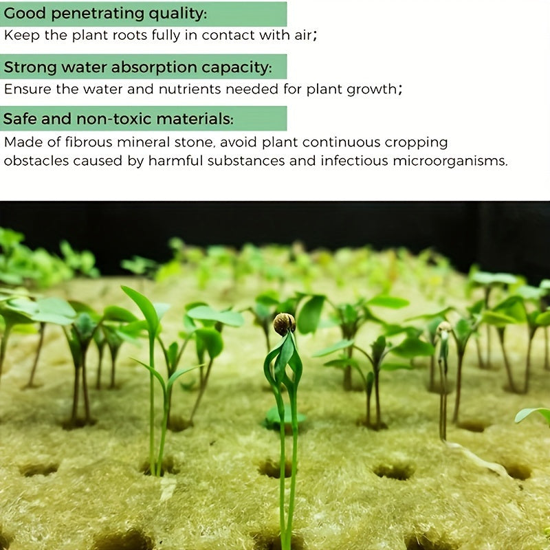 100 EcoGrow Rockwool Hydroponic Grow Cubes - Ideal for Seed Germination and Vegetative Growth, Easy to Cut and Transplant, High Water Retention.