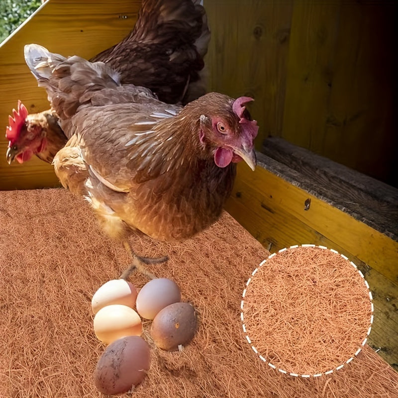 Premium coconut fiber hen nesting pads for chicken nest boxes, available in packs of 2, 6, or 10. Easy to clean poultry coop bedding.