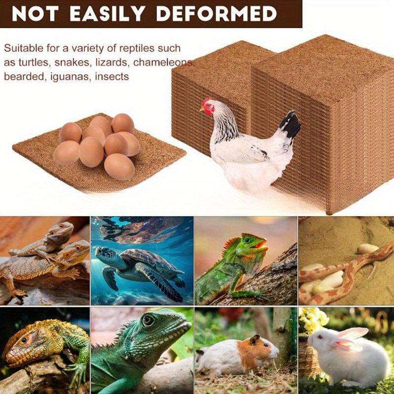 Premium coconut fiber hen nesting pads for chicken nest boxes, available in packs of 2, 6, or 10. Easy to clean poultry coop bedding.