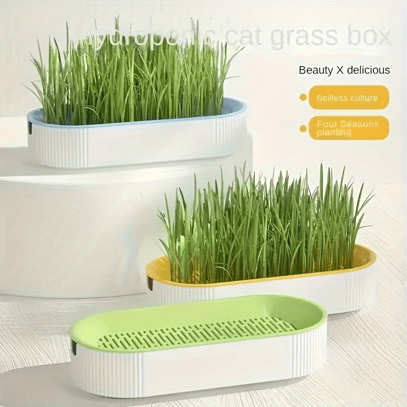 Soilless hydroponic catgrass planter for fresh and healthy cat food. Made of durable plastic. Suitable for seasonal pets and garden supplies. Battery-free.