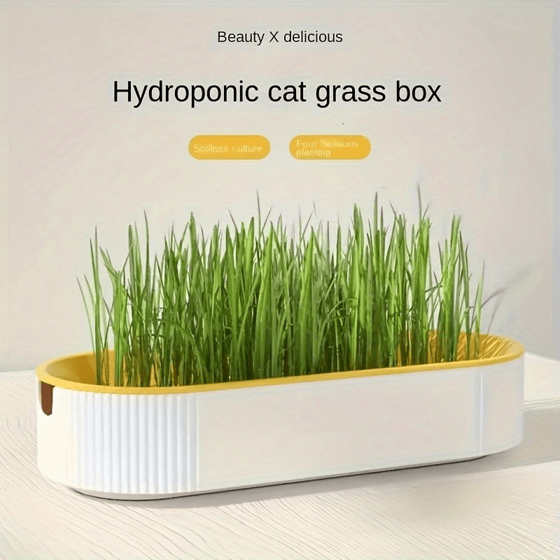 Soilless hydroponic catgrass planter for fresh and healthy cat food. Made of durable plastic. Suitable for seasonal pets and garden supplies. Battery-free.