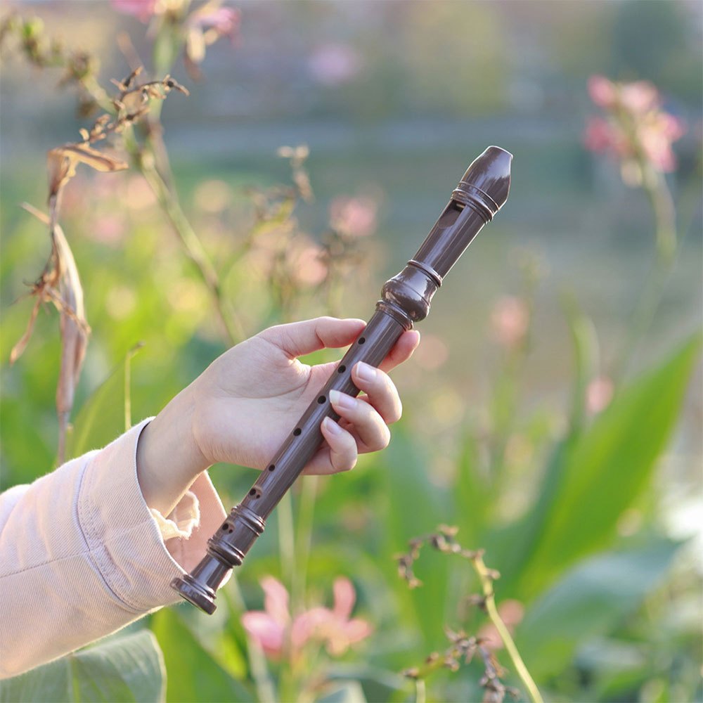 Beginners soprano recorder in G key with 8 holes, cleaning rod, made of ABS resin.