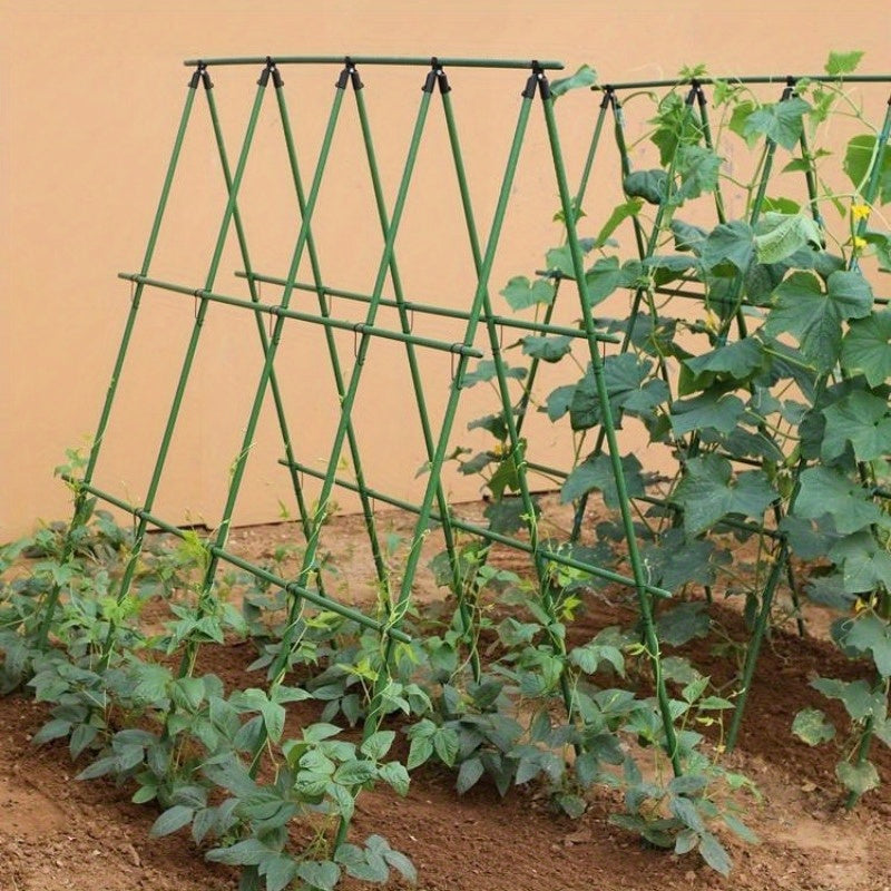 Heavy-duty metal garden trellis for climbing plants, cucumbers, beans, and tomatoes. Durable support frame.