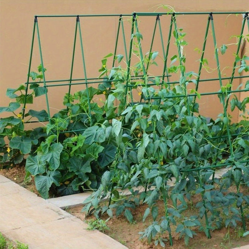 Heavy-duty metal garden trellis for climbing plants, cucumbers, beans, and tomatoes. Durable support frame.