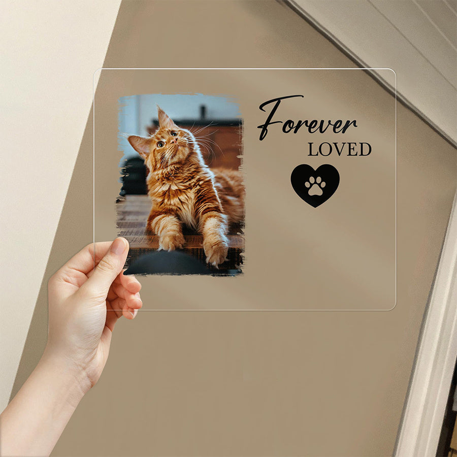 Personalized Cat Remembrance Acrylic Photo Frame Plaque - A Thoughtful Gift for Pet Loss Sympathy - Made from Durable Acrylic Material - Perfect for Home and Desk Decor - Suitable for Ages 14 and up