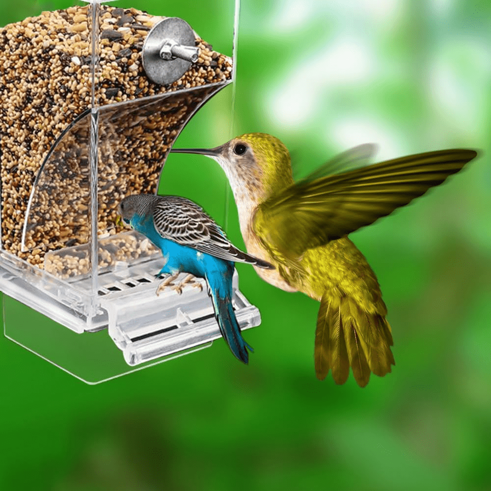 ClearView Automatic Bird Feeder made of acrylic and cage-mounted, no battery needed, ideal for parakeets and medium birds, anti-splatter design, battery not included.