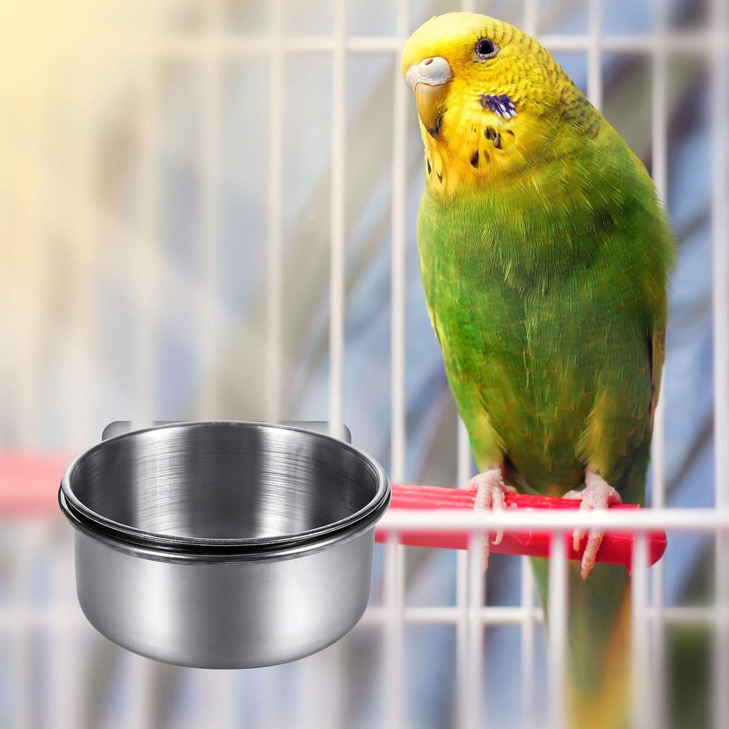 Stainless steel reptile feeding dish with clamp holder for water and food - non-toxic, rustproof, and suitable for various species.