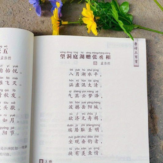 The Chinese version of Three Hundred Tang Poems.