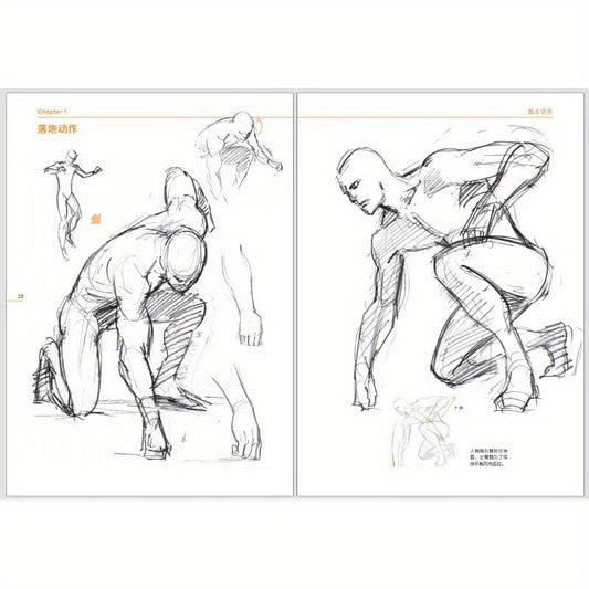 Human Figure Drawing Course: Muscle Character Edition by Inoue Junichi (2023) Paperback, Chinese Version" -> "Inoue Junichi's 2023 Human Figure Drawing Course: Muscle Character Edition