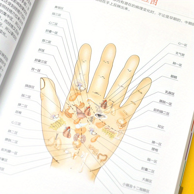 Illustrated Guide to Traditional Chinese Medicine: Chinese Edition