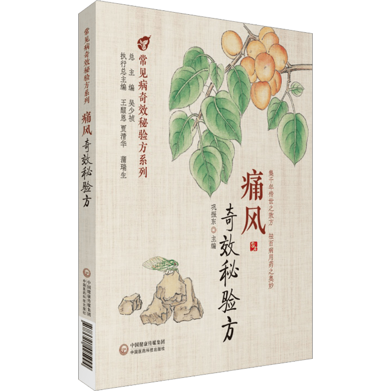 Gout Miracle Secret Formula: Traditional Chinese Medicine for Gout Relief, Chinese Version" can be rewritten as "Traditional Chinese Medicine for Gout Relief: Gout Miracle Secret Formula