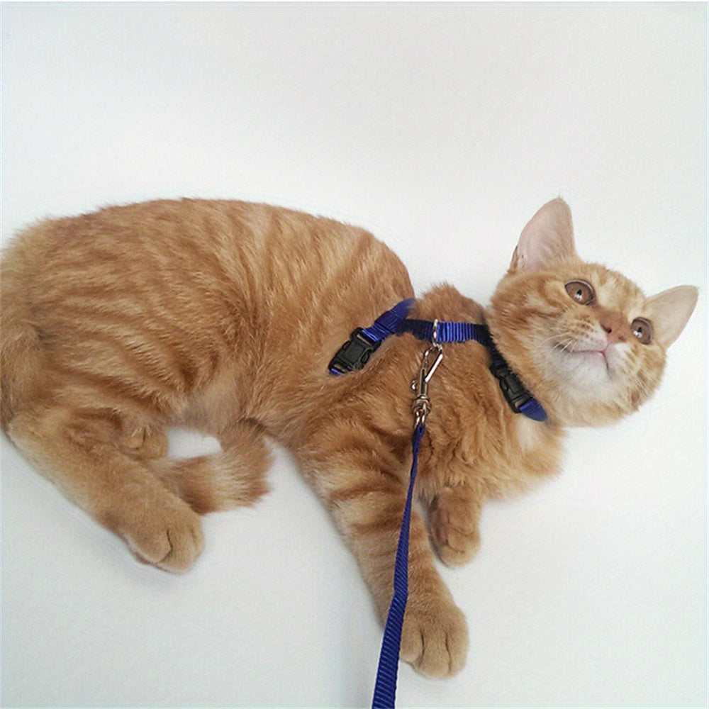 Safe and comfortable cat harness and leash set for kittens to keep them secure and happy.