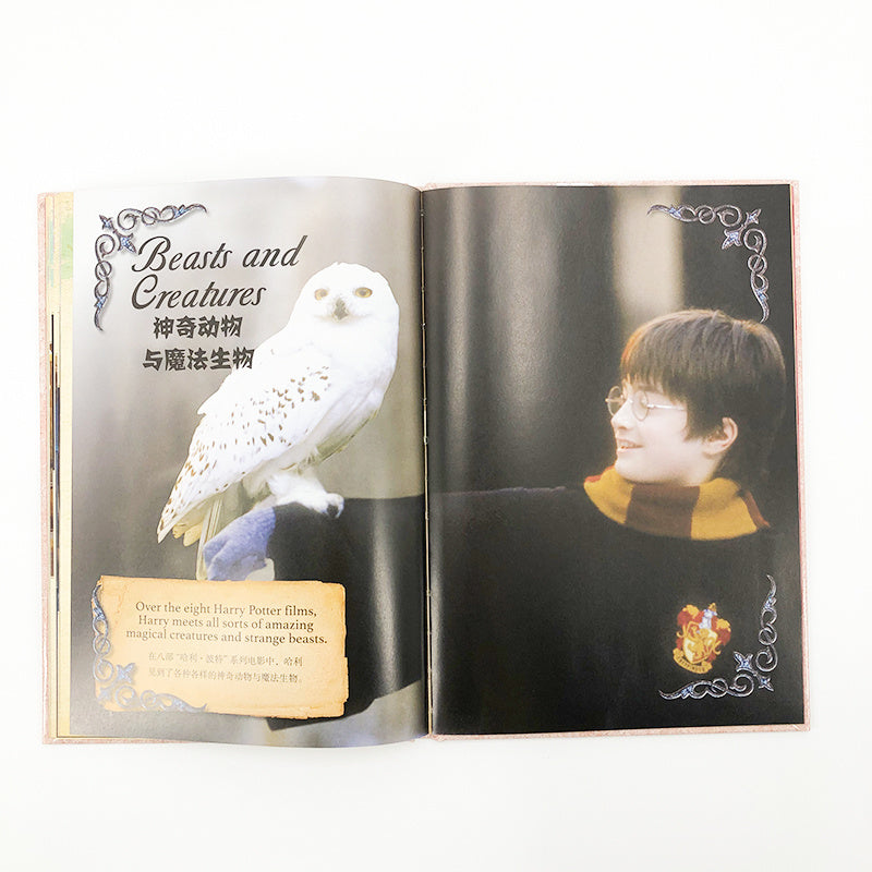 English-Chinese version of the Harry Potter movie character book, featuring Harry Potter.