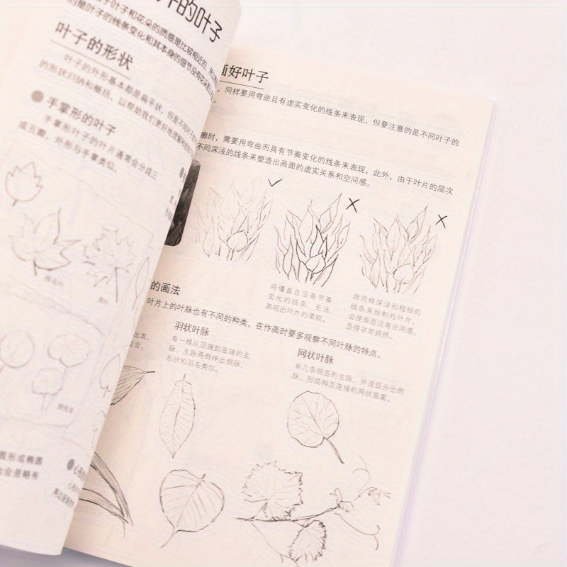 Sketching Guide for Beginners: Chinese Version