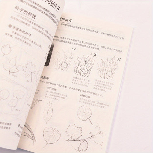 Sketching Guide for Beginners: Chinese Version