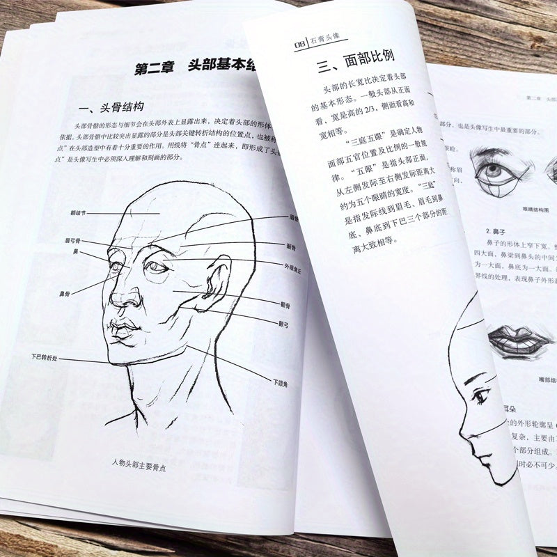 Tutorial on basic sketching with gypsum head in Chinese.