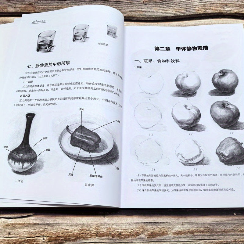 Simple guide for still life sketching in Chinese