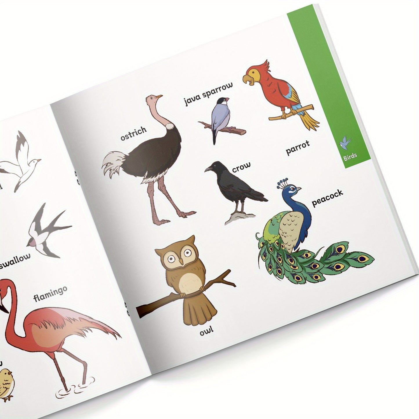 1pc Comprehensive Animal Encyclopedia: Detailed Biodiversity Exploration