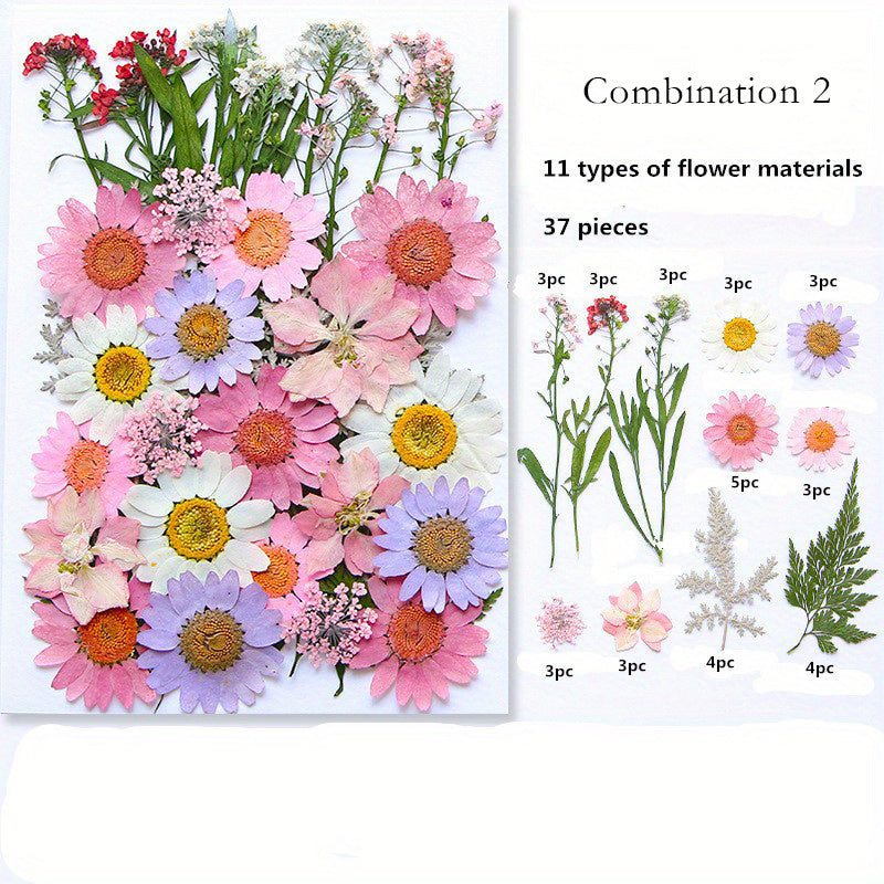 1pc Mixed Color Real Dried Pressed Flowers Set for DIY Arts and Crafts - Craft Kits for Adults Age 14+