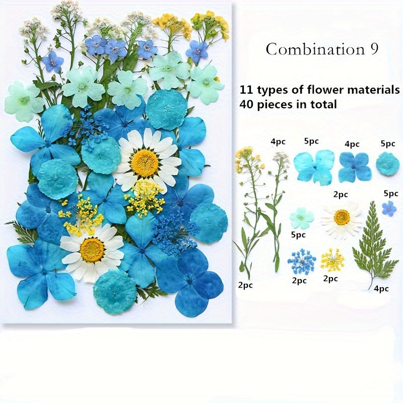 1pc Mixed Color Real Dried Pressed Flowers Set for DIY Arts and Crafts - Craft Kits for Adults Age 14+