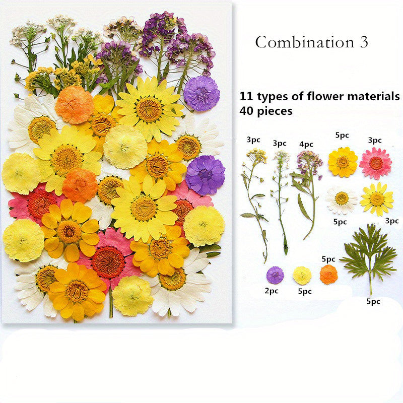 1pc Mixed Color Real Dried Pressed Flowers Set for DIY Arts and Crafts - Craft Kits for Adults Age 14+