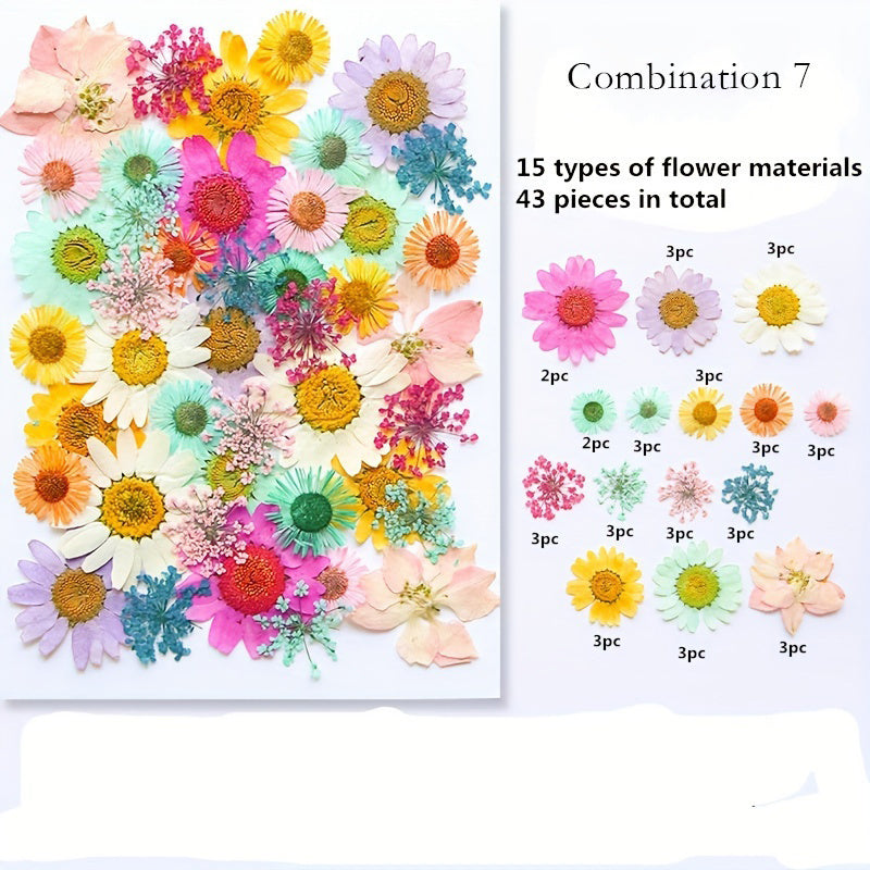 1pc Mixed Color Real Dried Pressed Flowers Set for DIY Arts and Crafts - Craft Kits for Adults Age 14+