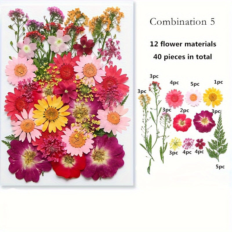 1pc Mixed Color Real Dried Pressed Flowers Set for DIY Arts and Crafts - Craft Kits for Adults Age 14+